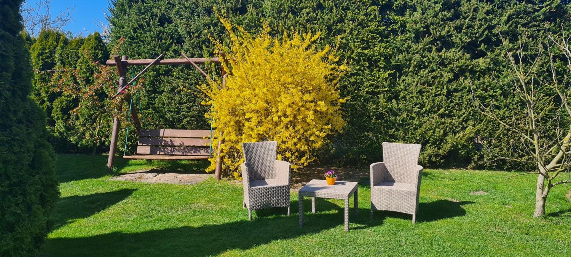 Domki I Pokoje U Asi Stegna  Exteriér fotografie